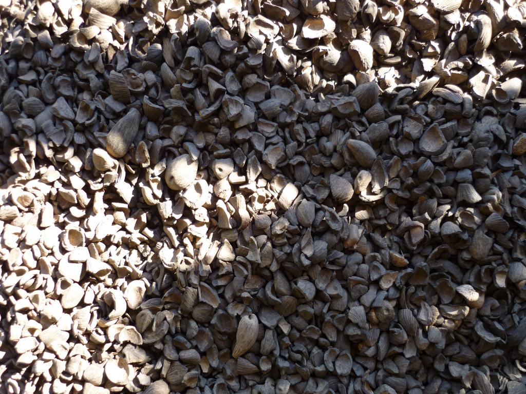 Palm Kernel Shell 1